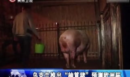 人性交视频,真实情感与欲望的裸露呈现